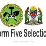 Five Selection