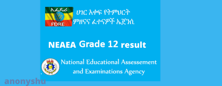 NEAEA 12 Grade Result 2021/2022