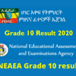 NEAEA Grade 10 2022