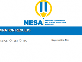 NESA Exam in 2022 Results (P6, S3, S6) Rwanda | nesa results 2022
