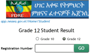 NEAEA Grade 12 Result 2022